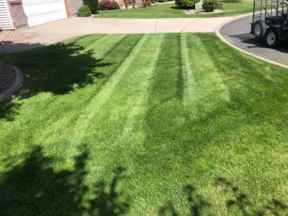Your Spring Lawn Care Checklist for Inland Northwest Yards