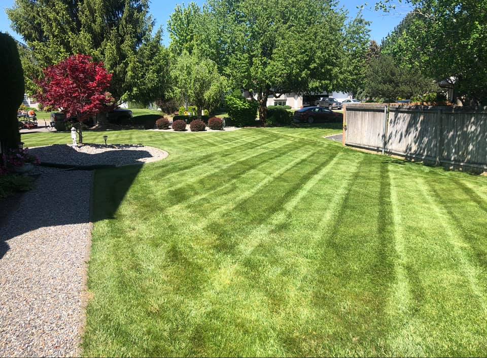 The Best Time to Aerate and Overseed Your Lawn in Spokane