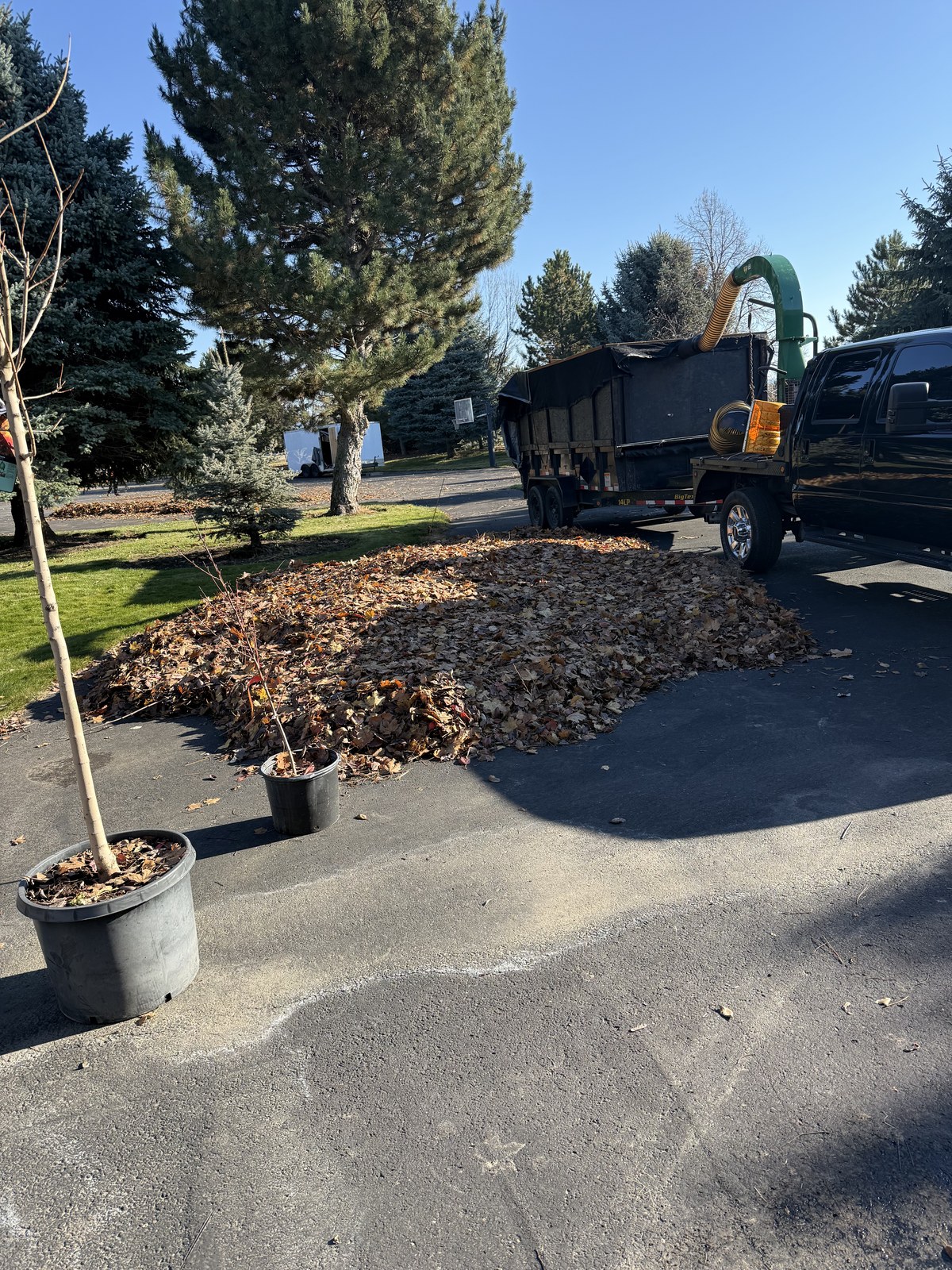 Lawn Care & Maintenance — Landscaping project in Spokane, WA